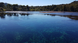 Springs freshwater