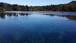 Springs freshwater